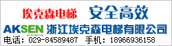 浙江埃克森电梯有限公司